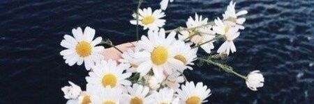 SKITTLES_69_'s profile banner image