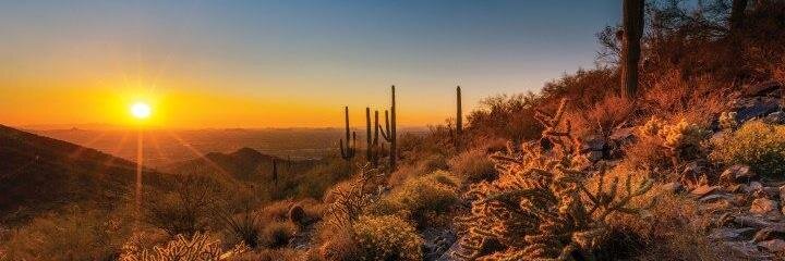 🇺🇸 Brice Partain 🇺🇸 banner