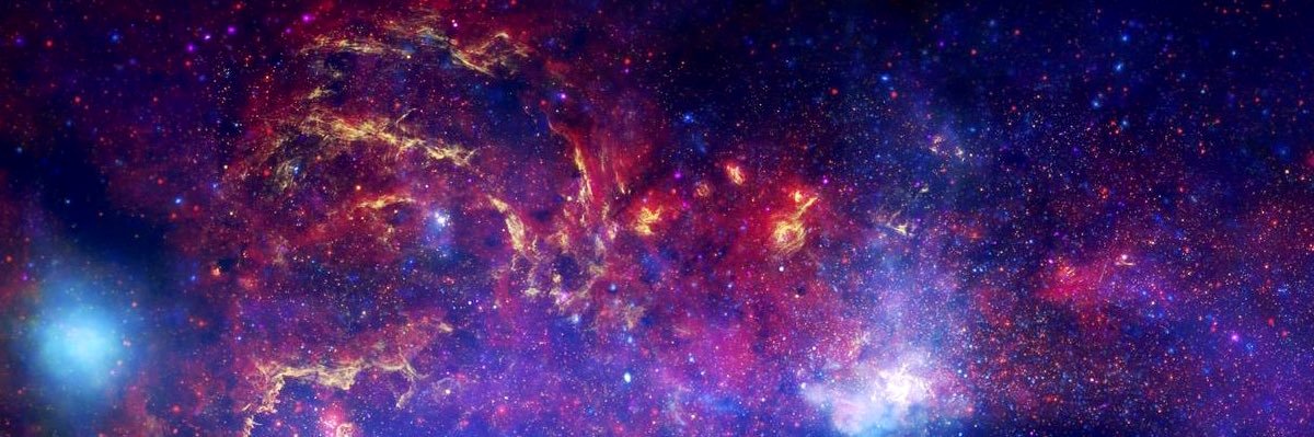 CourtneyPants banner