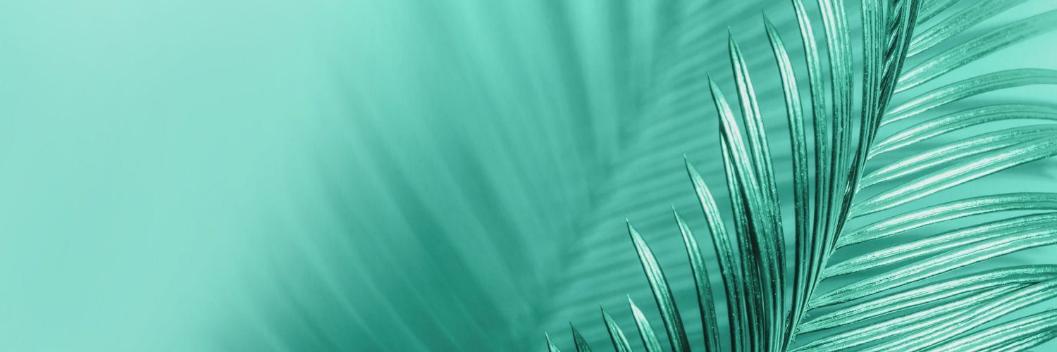 Mint & Needle banner