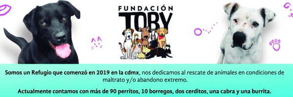 Fundación Toby Profile Banner