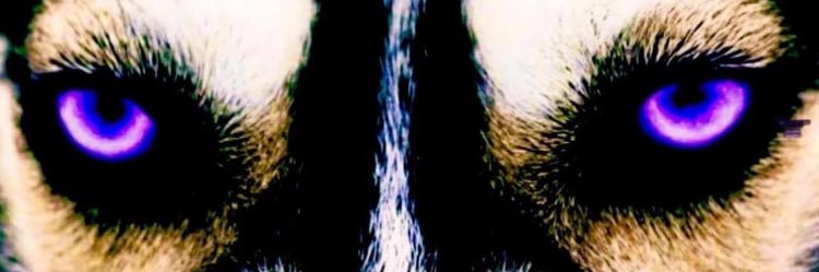Armi17Matt's profile banner image