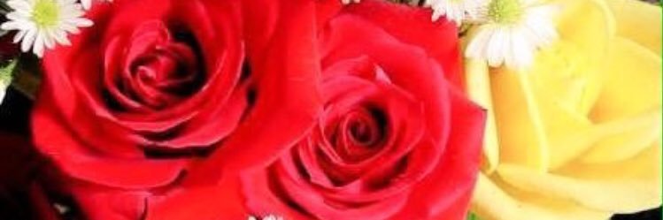 mmcgzb22's profile banner image