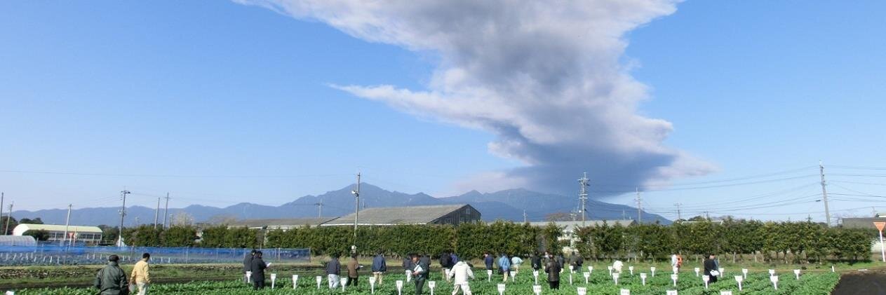 ひらあやまり banner