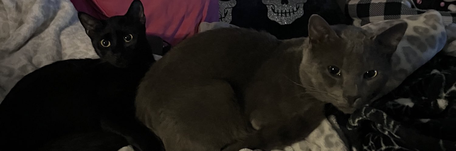 destinyyyraeeee's profile banner image