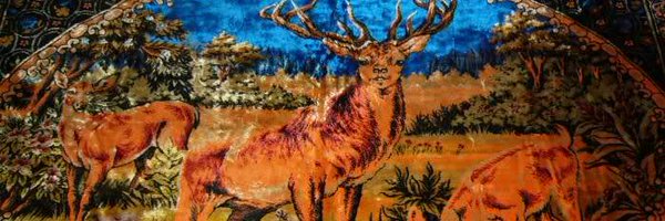 SofiMurad Profile Banner