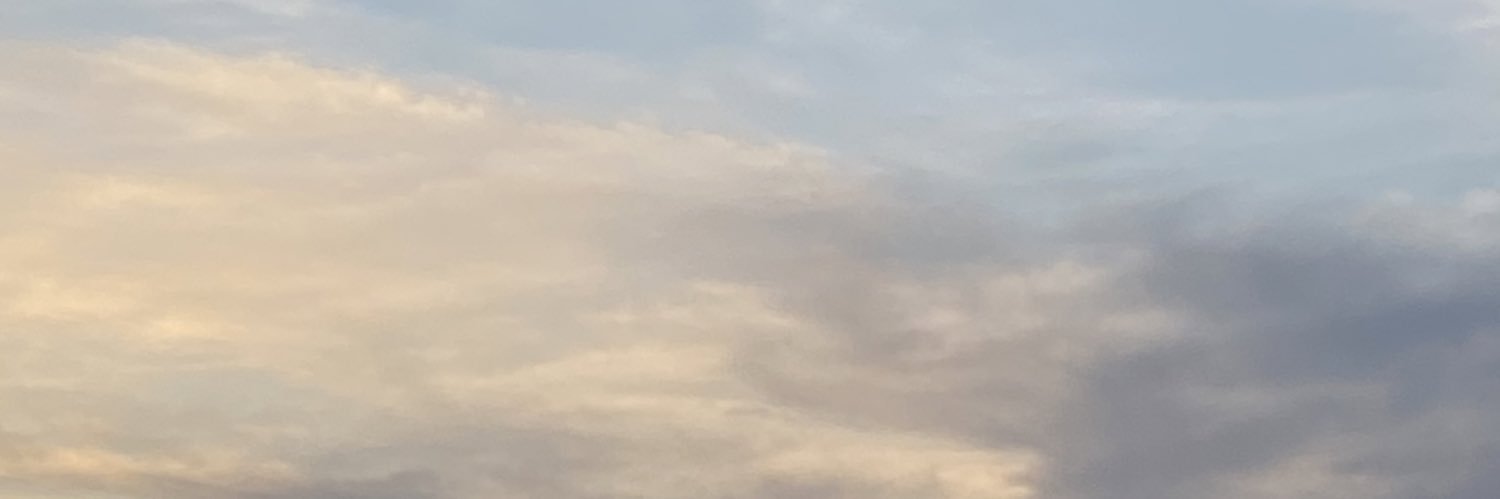 qninejli's profile banner image