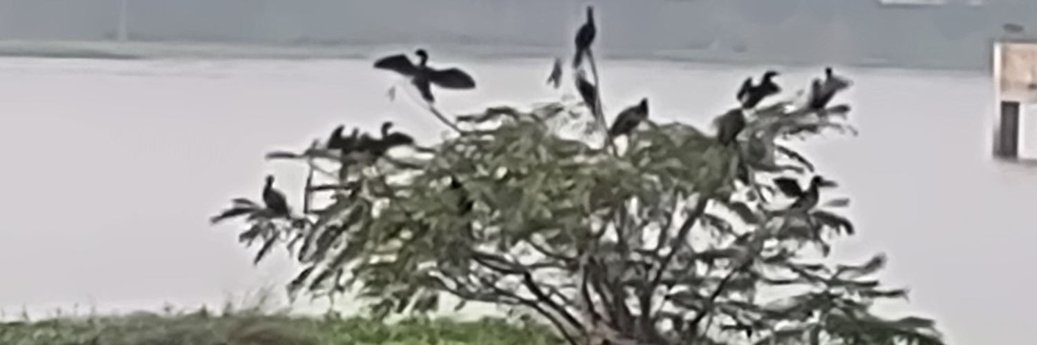 Dr. Gomathi Ph.D banner