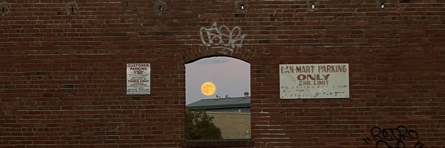 quetzali ⋆*✩ banner