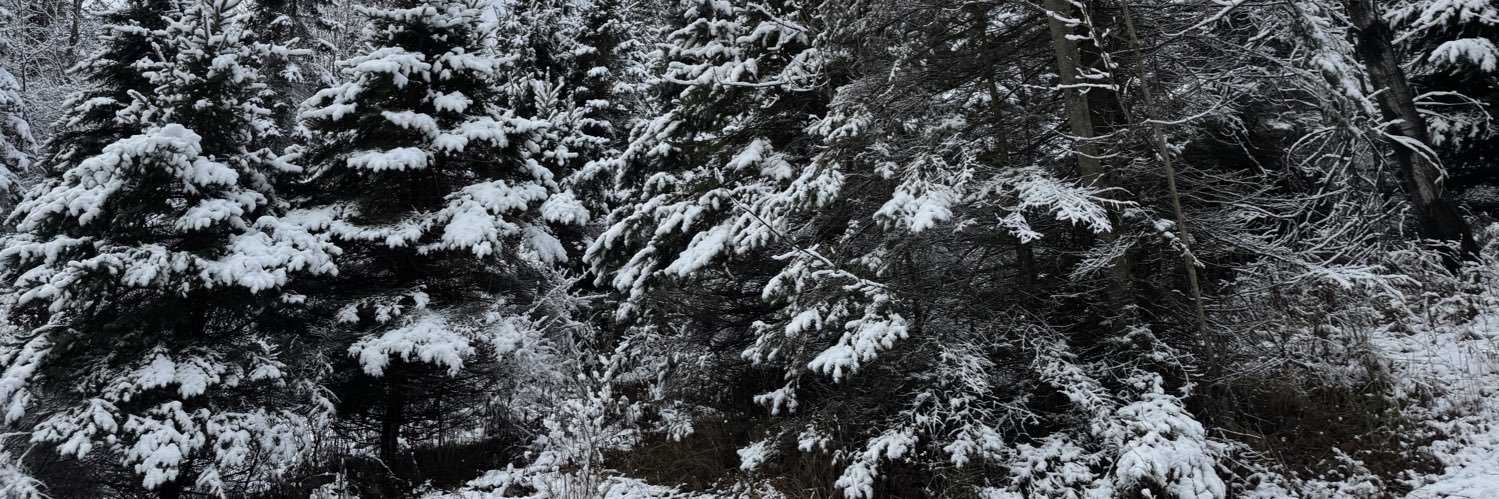 Aurelie Miller 🚢 banner