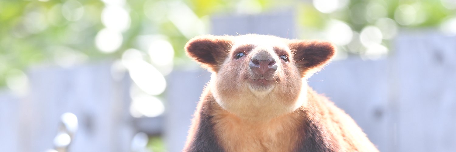 【公式】横浜市立よこはま動物園 ズーラシア's banner