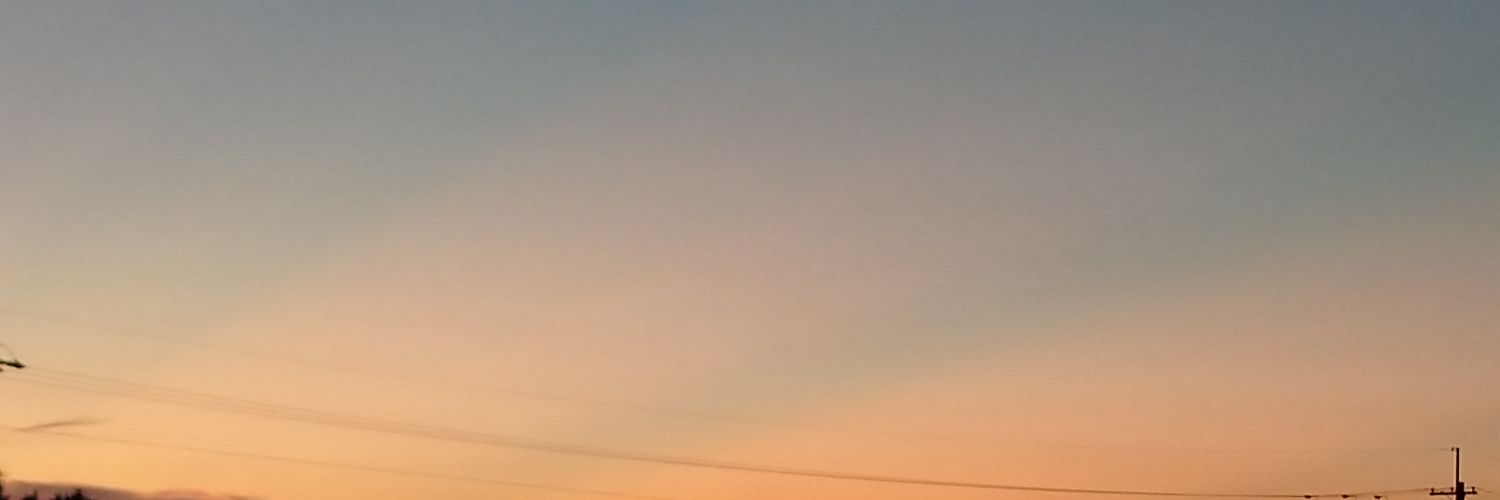 のこ𖥧 𖥧 𖧧 ˒˒ banner