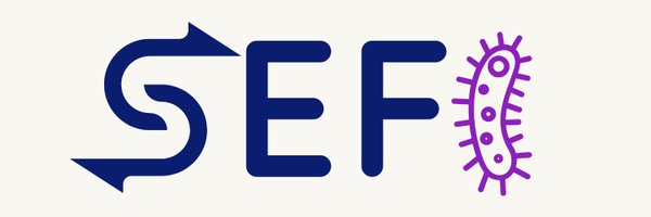 SEFI Profile Banner