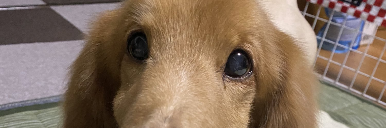 mnkr5's profile banner image