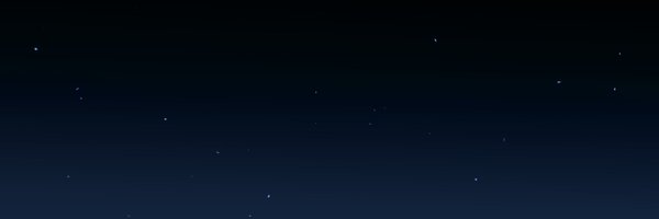 ZlataVector Profile Banner