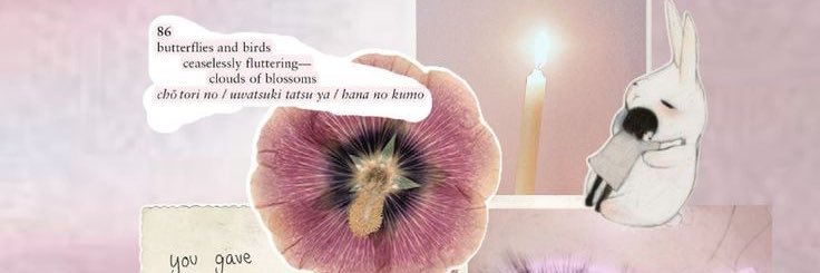 notshaagain banner