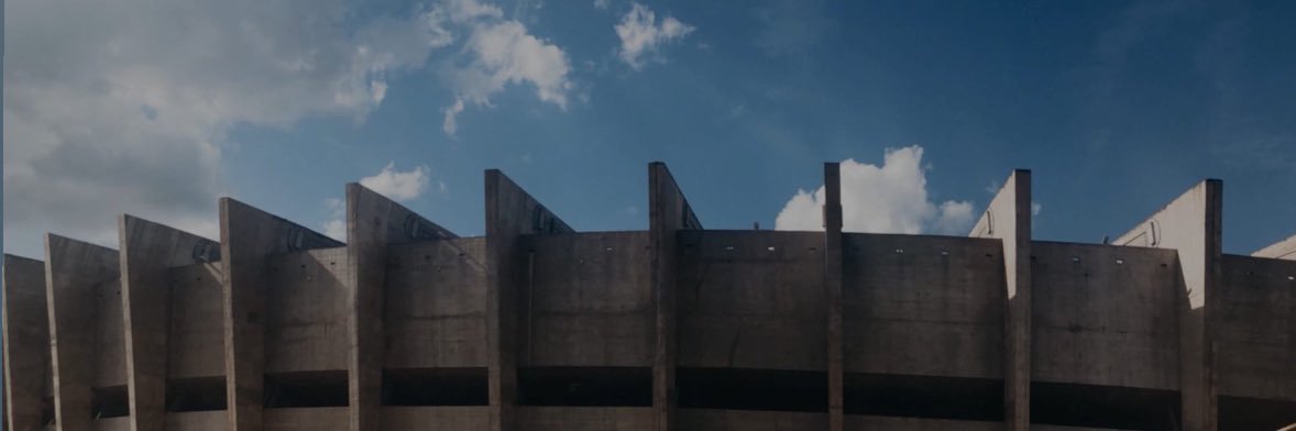 Ana Paula 🦊 banner