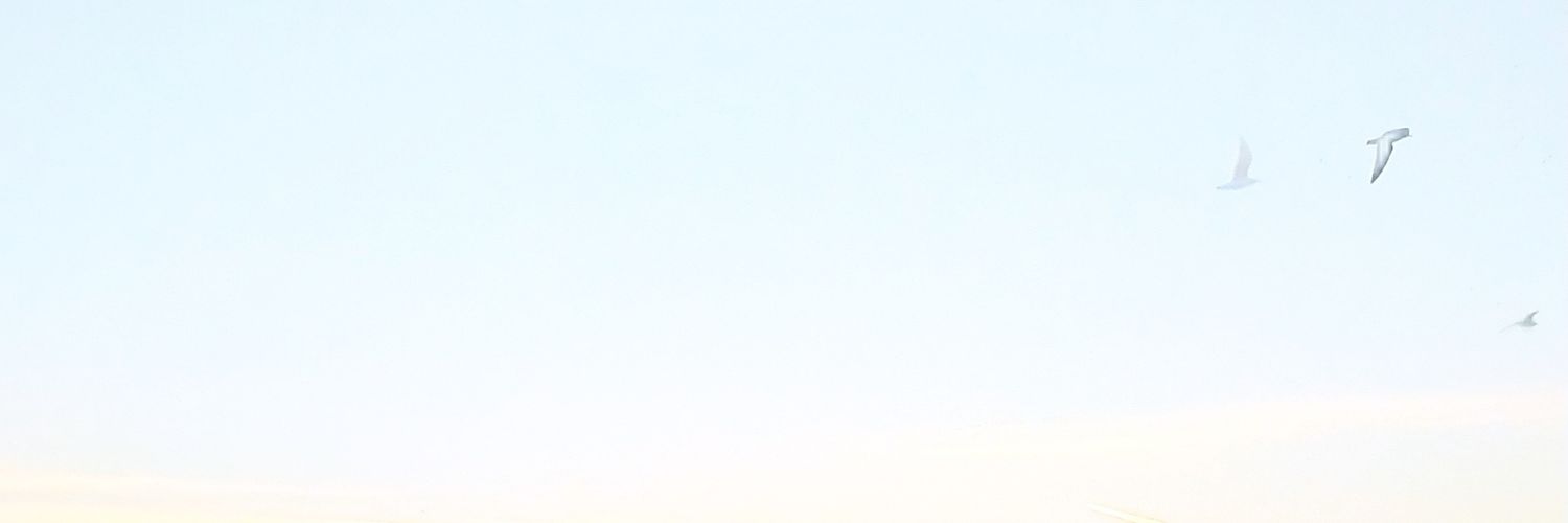 Gülce... banner