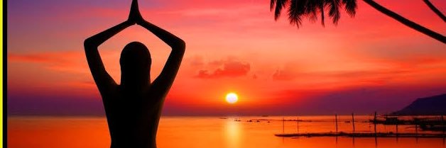 NovarettiJacqui's profile banner image