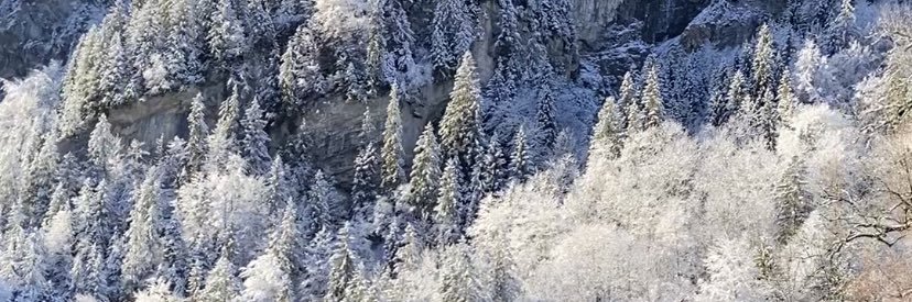 marcxello's profile banner image