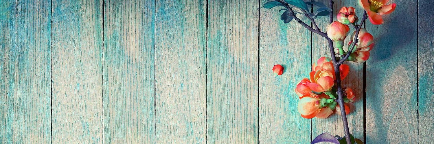 yase369's profile banner image