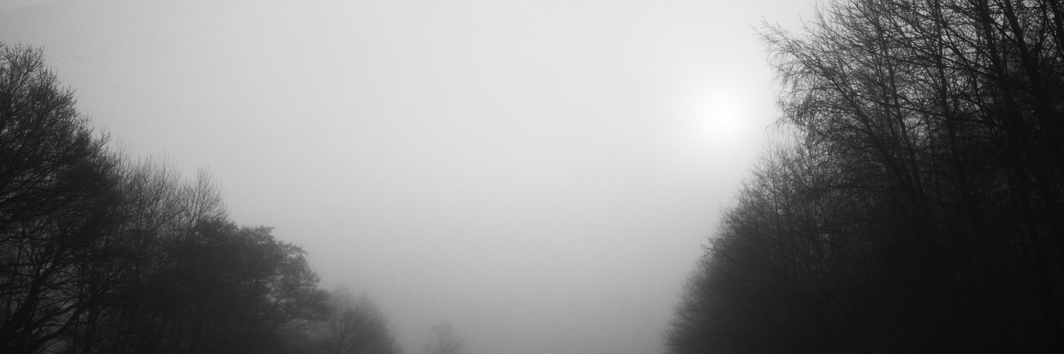 danjhel's profile banner image