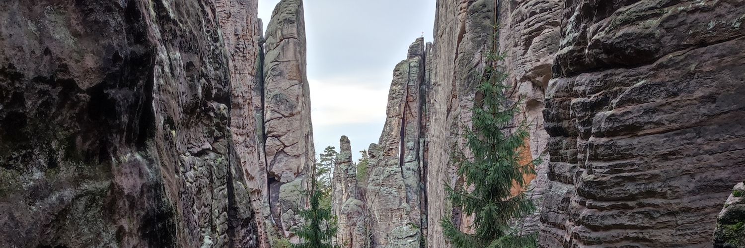 Petr Hamáček banner