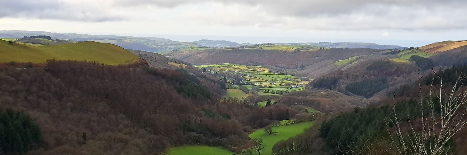 Celyn Bennett 🏴󠁧󠁢󠁷󠁬󠁳󠁿🏳️‍⚧️ banner