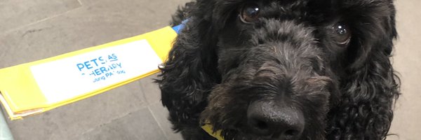TillyRoseMoss Profile Banner