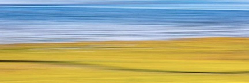 Master Of Xray ⚛️🩻 banner