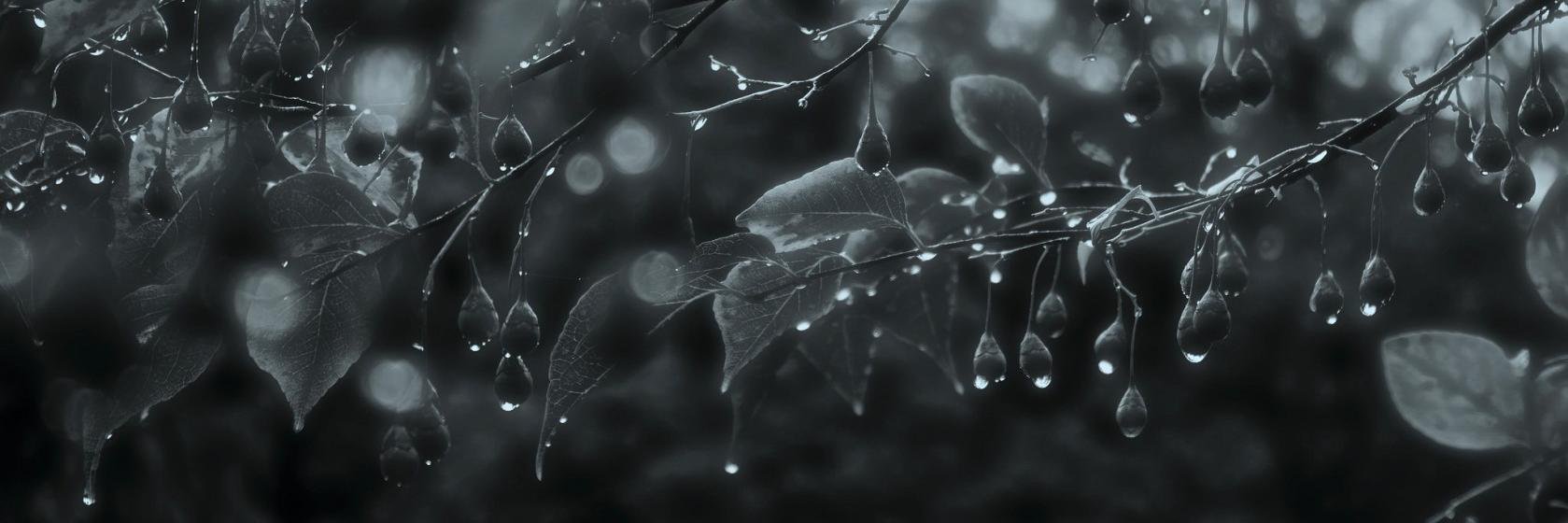 floweryada's profile banner image