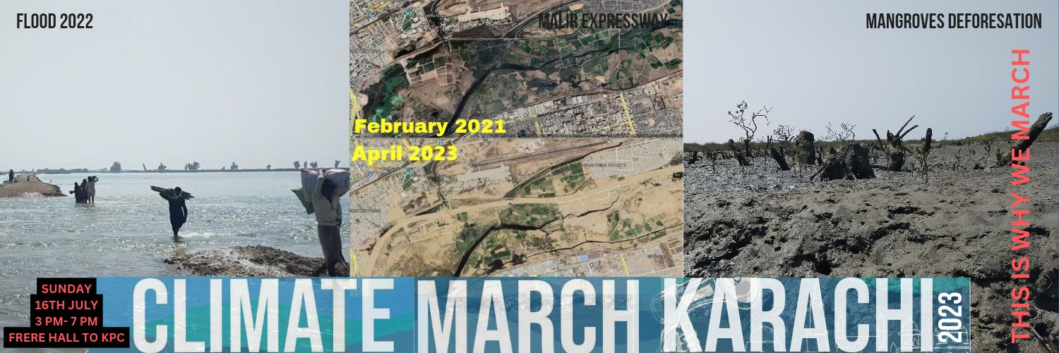 Climate Action Pakistan banner