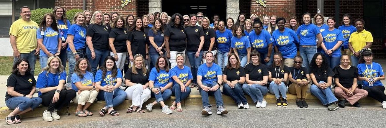 AliceDriveElementary banner