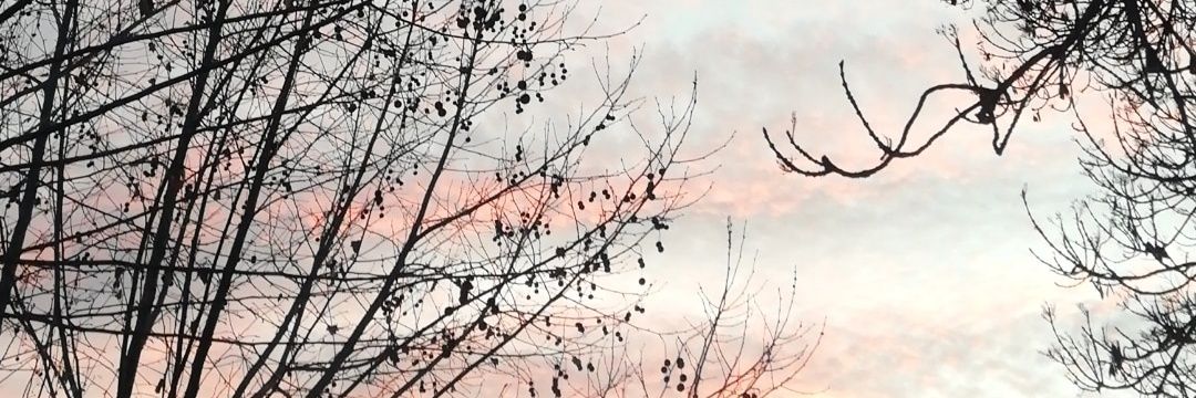 Josefa López Rodríguez banner