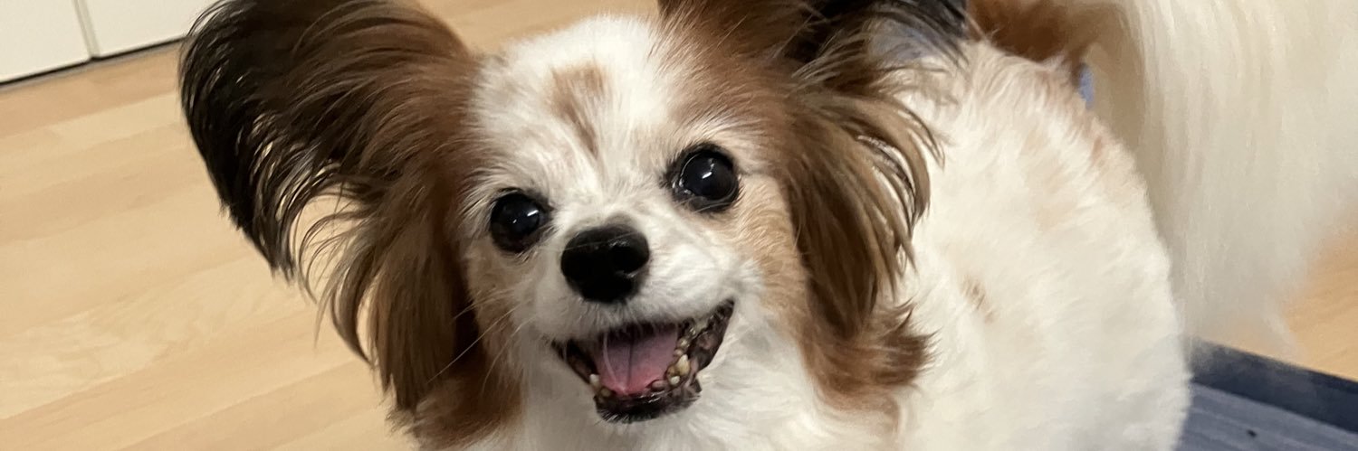 coton_0117's profile banner image