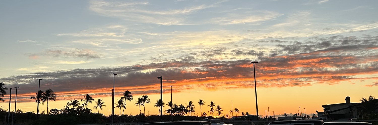 NSLBeezy's profile banner image