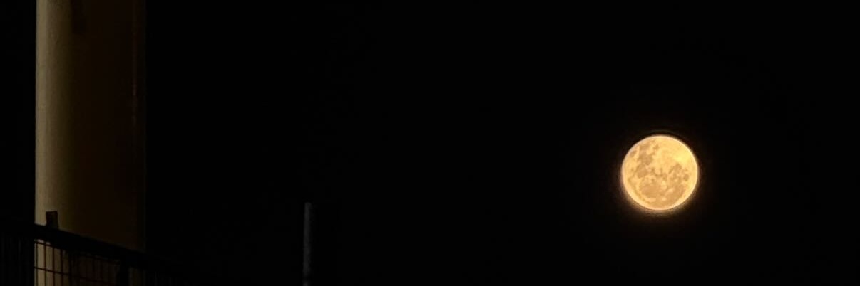 ɴᴀᴠʏ ʙʟᴜᴇ banner