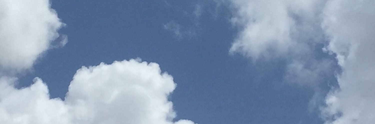 mayaneirineu's profile banner image