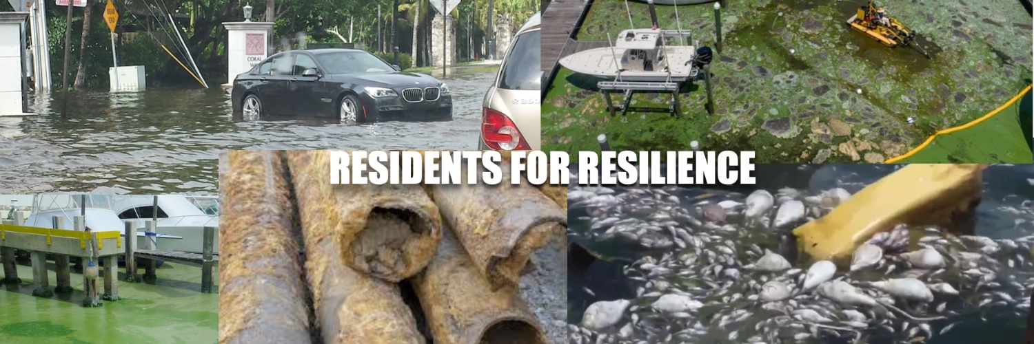 Suzee Bailey founder Residents for Resilience banner