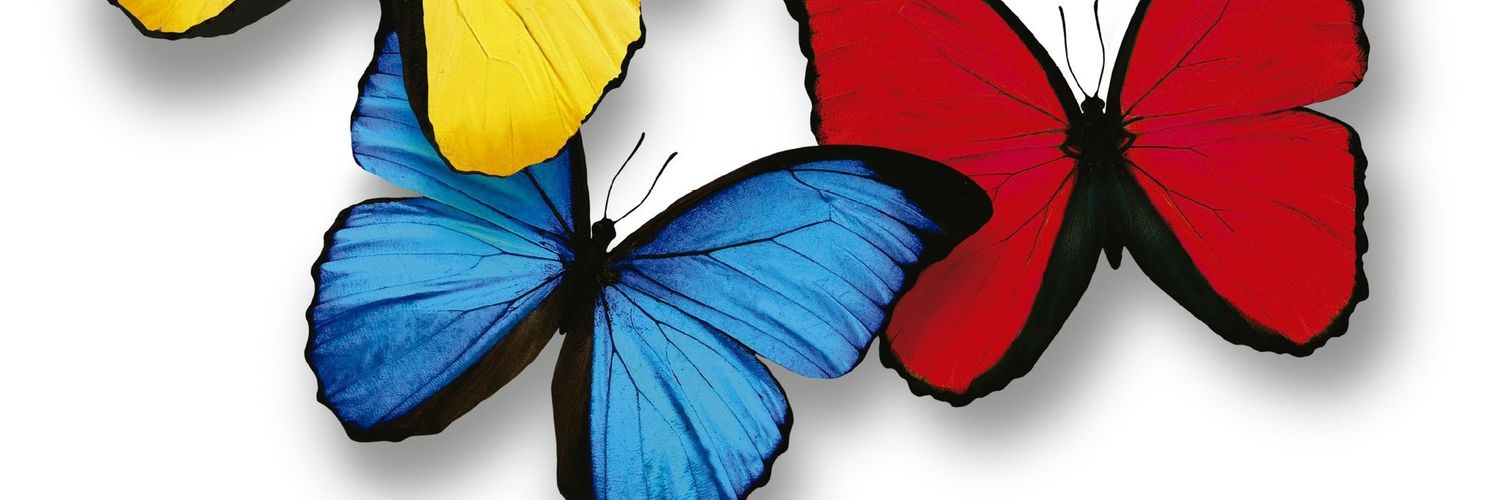 Fernand33822170's profile banner image