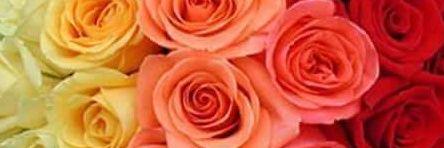 mnal779's profile banner image