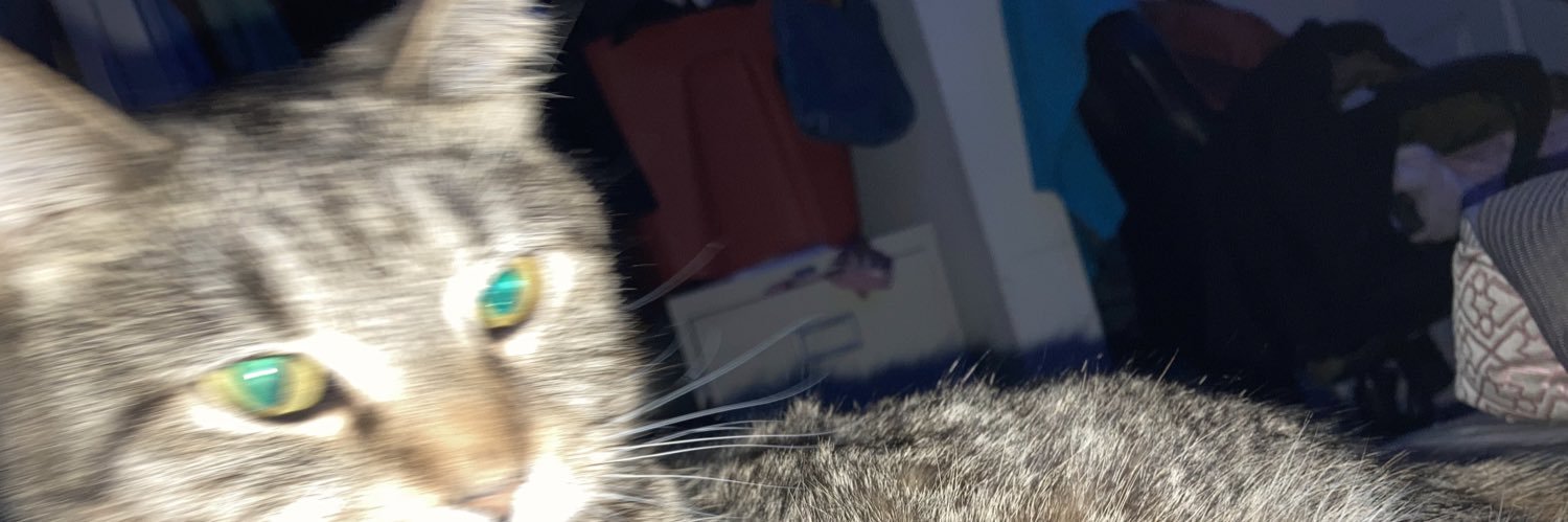 notallsharks's profile banner image