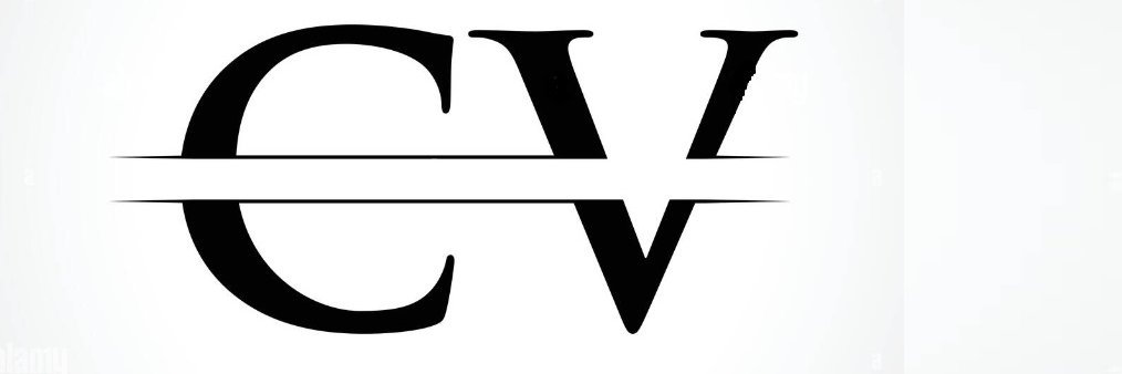 CV_DS3's profile banner image