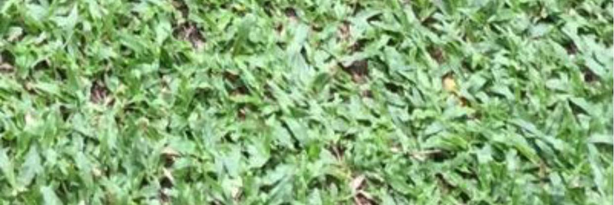 vanessaTJQ's profile banner image