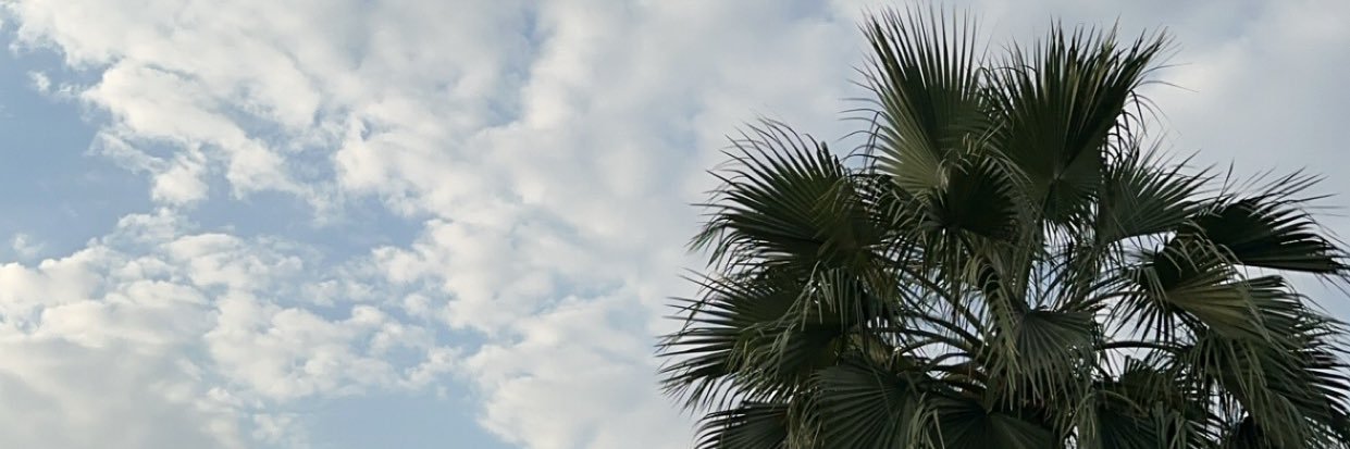 مها مرعي|Maha mari🦋 banner
