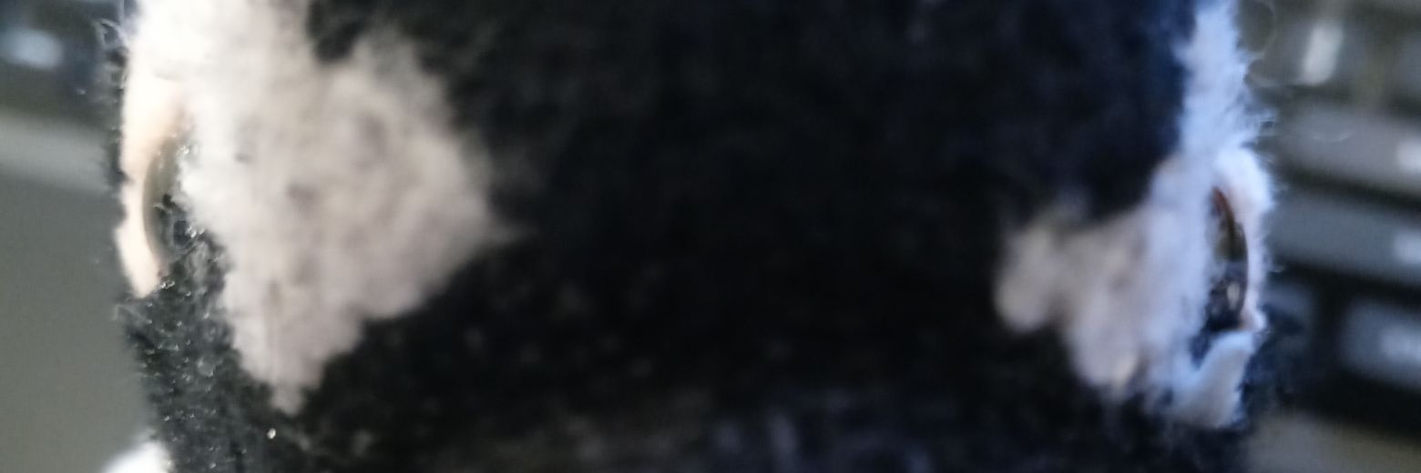 Raiderwarrior2's profile banner image