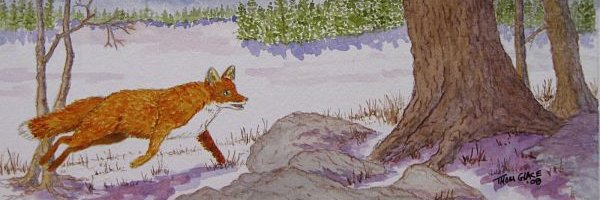 hedgewatching's profile banner image