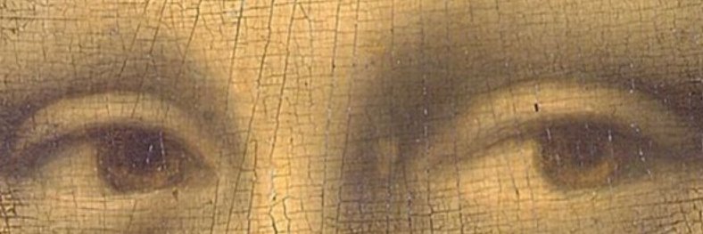 光迦lightingplus banner