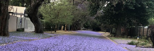 Ezme74408542 Profile Banner