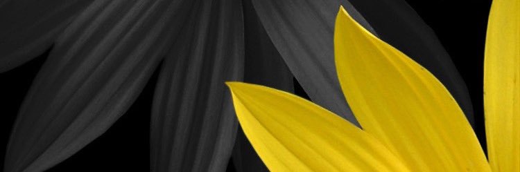 CW_8115's profile banner image